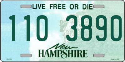 NH license plate 1103890
