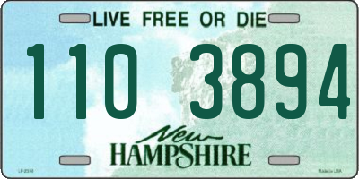NH license plate 1103894