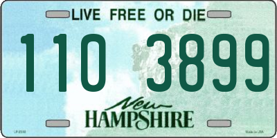 NH license plate 1103899
