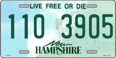 NH license plate 1103905