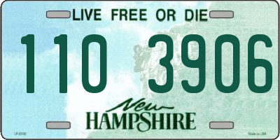 NH license plate 1103906