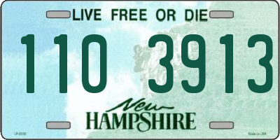 NH license plate 1103913