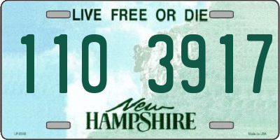 NH license plate 1103917