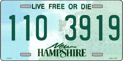 NH license plate 1103919