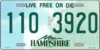NH license plate 1103920