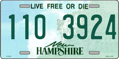 NH license plate 1103924