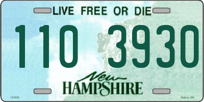 NH license plate 1103930