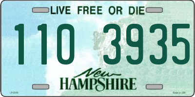 NH license plate 1103935