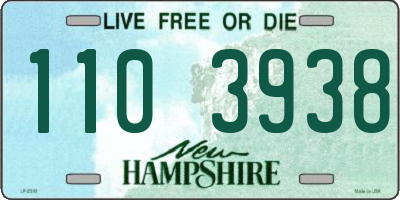 NH license plate 1103938
