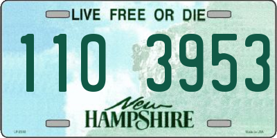 NH license plate 1103953