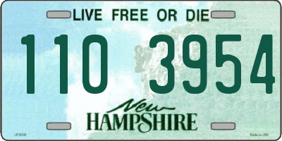 NH license plate 1103954