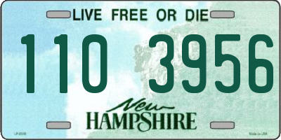 NH license plate 1103956