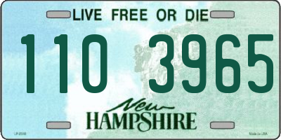 NH license plate 1103965