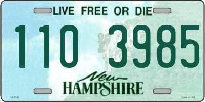 NH license plate 1103985