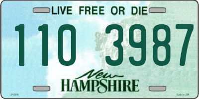 NH license plate 1103987