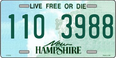 NH license plate 1103988
