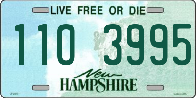 NH license plate 1103995