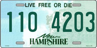 NH license plate 1104203