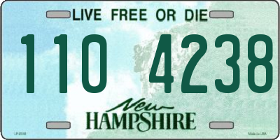 NH license plate 1104238