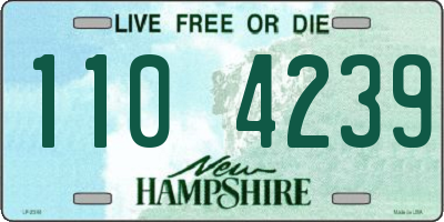 NH license plate 1104239