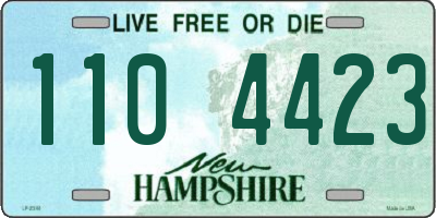 NH license plate 1104423