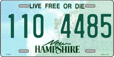 NH license plate 1104485