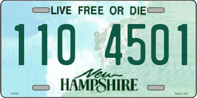 NH license plate 1104501