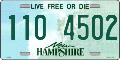 NH license plate 1104502