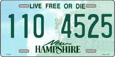 NH license plate 1104525
