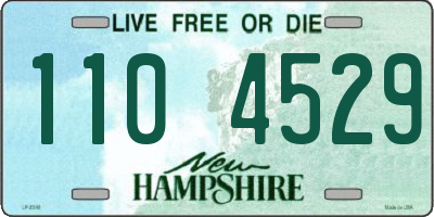 NH license plate 1104529