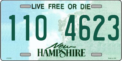 NH license plate 1104623