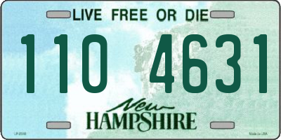 NH license plate 1104631