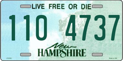 NH license plate 1104737