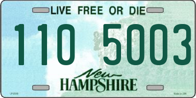 NH license plate 1105003
