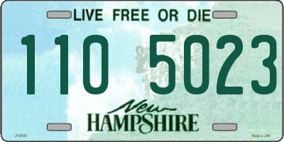 NH license plate 1105023