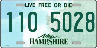 NH license plate 1105028