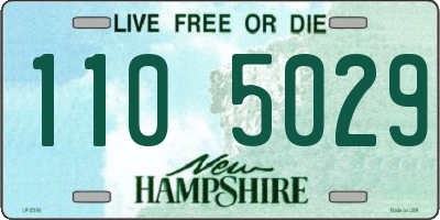 NH license plate 1105029
