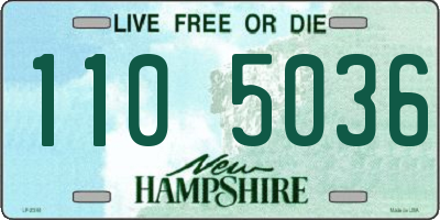 NH license plate 1105036