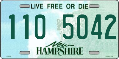NH license plate 1105042
