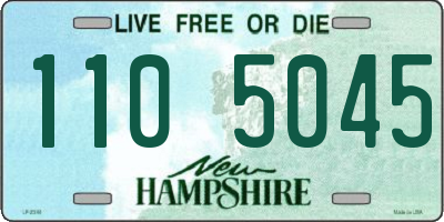 NH license plate 1105045