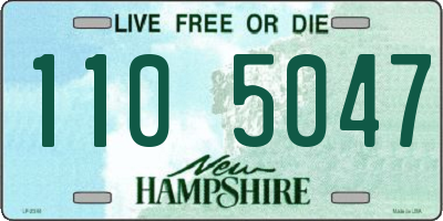 NH license plate 1105047