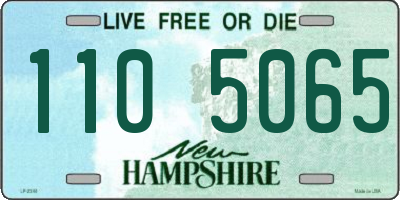 NH license plate 1105065