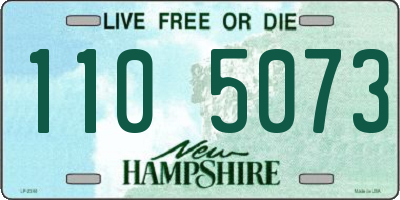 NH license plate 1105073