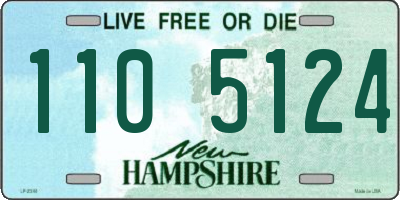 NH license plate 1105124