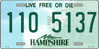 NH license plate 1105137