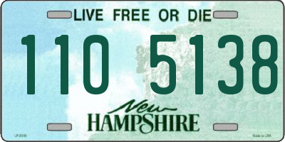 NH license plate 1105138