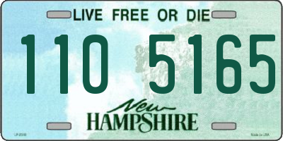 NH license plate 1105165