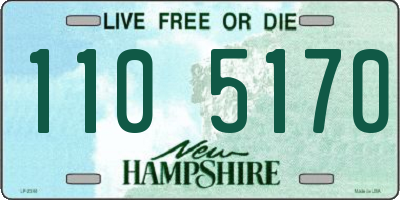 NH license plate 1105170