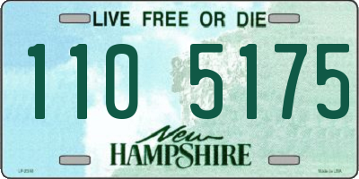 NH license plate 1105175