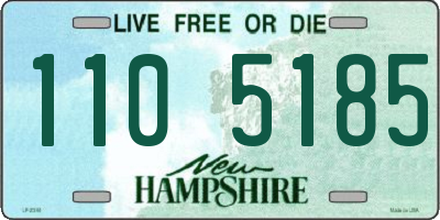 NH license plate 1105185